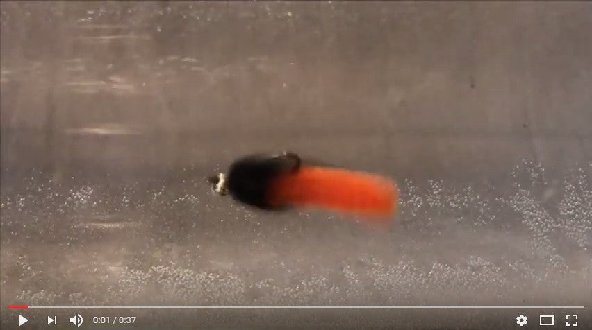 The Action of the Mop Fly in the Water